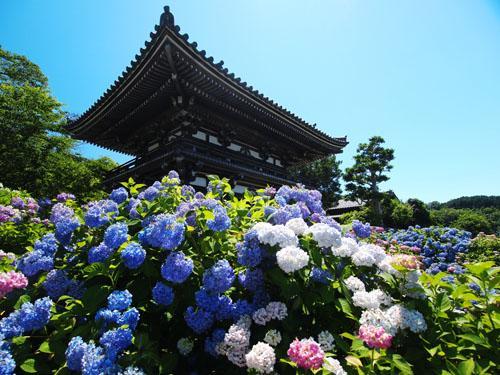Aloha Inn Aine (Adults Only) Fukuchiyama Exterior foto